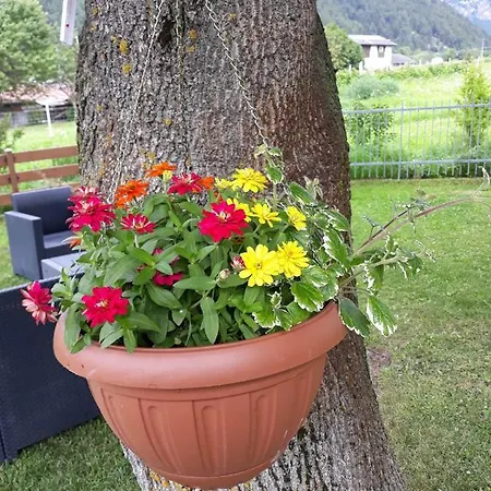Alma Bormio